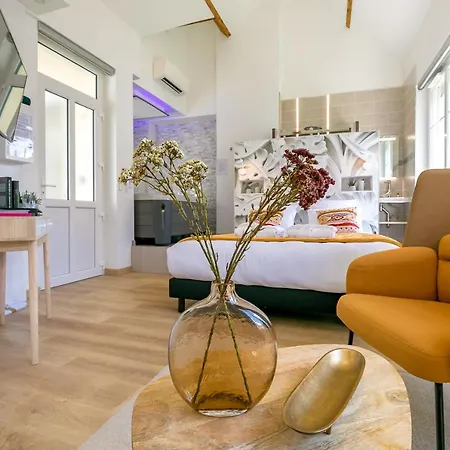 Apartment Relax Spa, Avec Jacuzzi A Dijon
