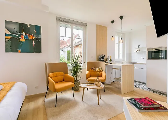 Relax Spa, Avec Jacuzzi A Appartement Dijon